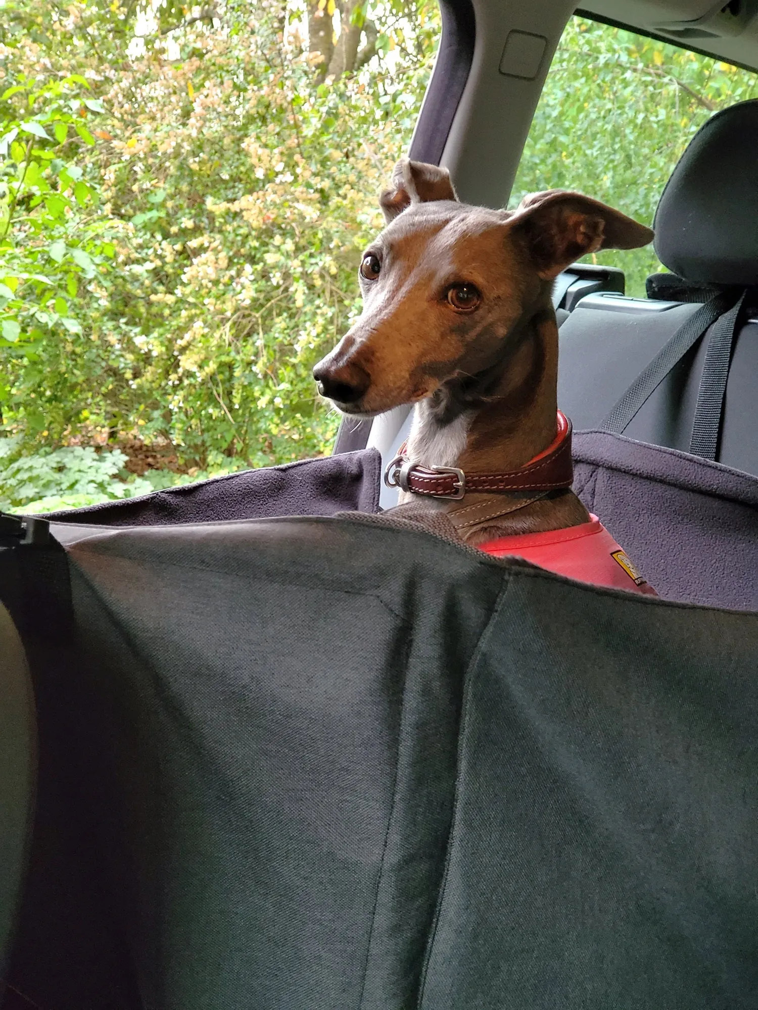 Car Cube dog seat