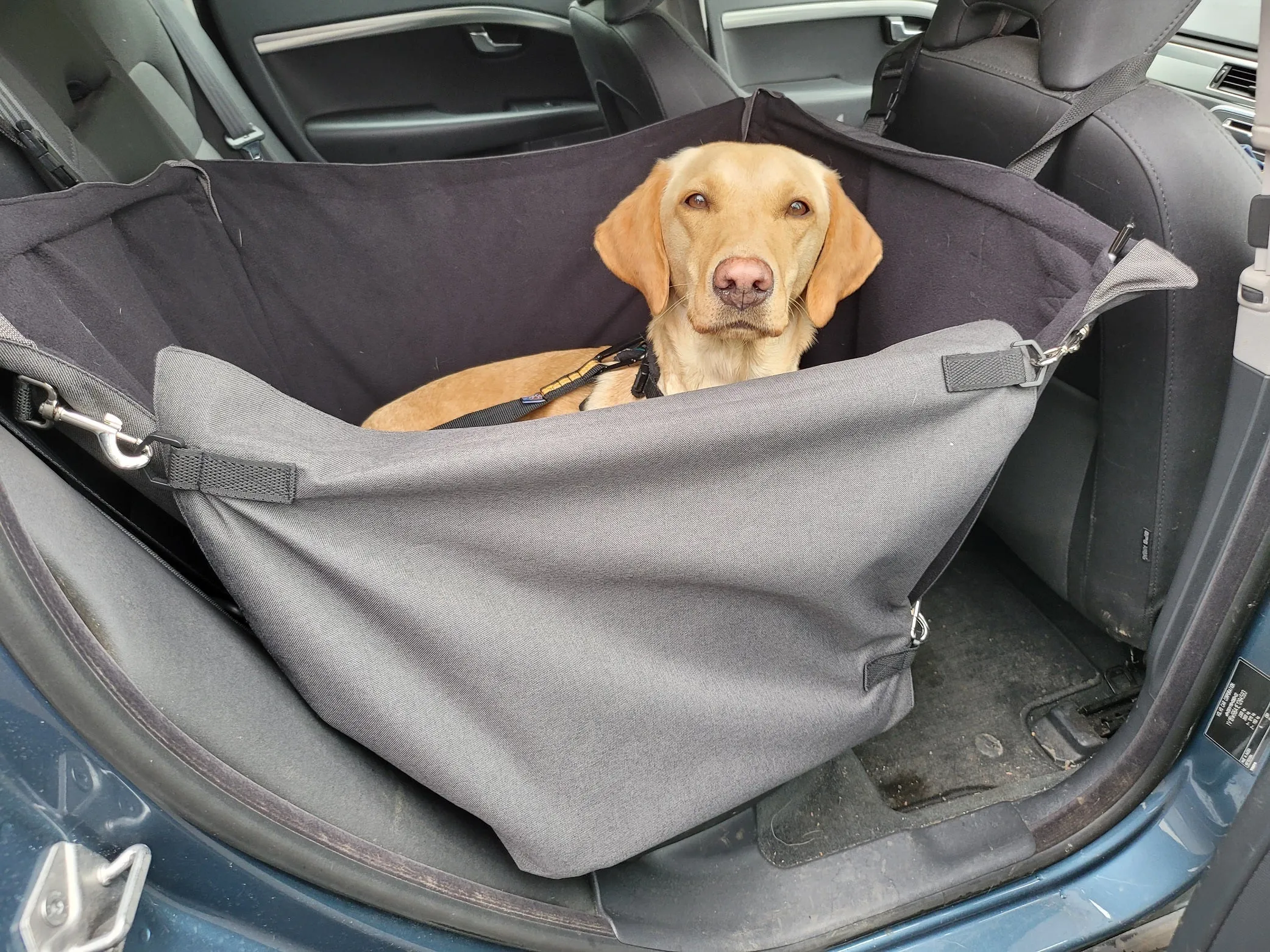 Car Cube dog seat