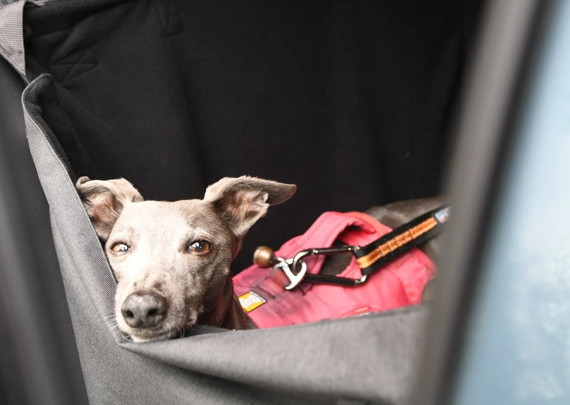 Car Cube dog seat