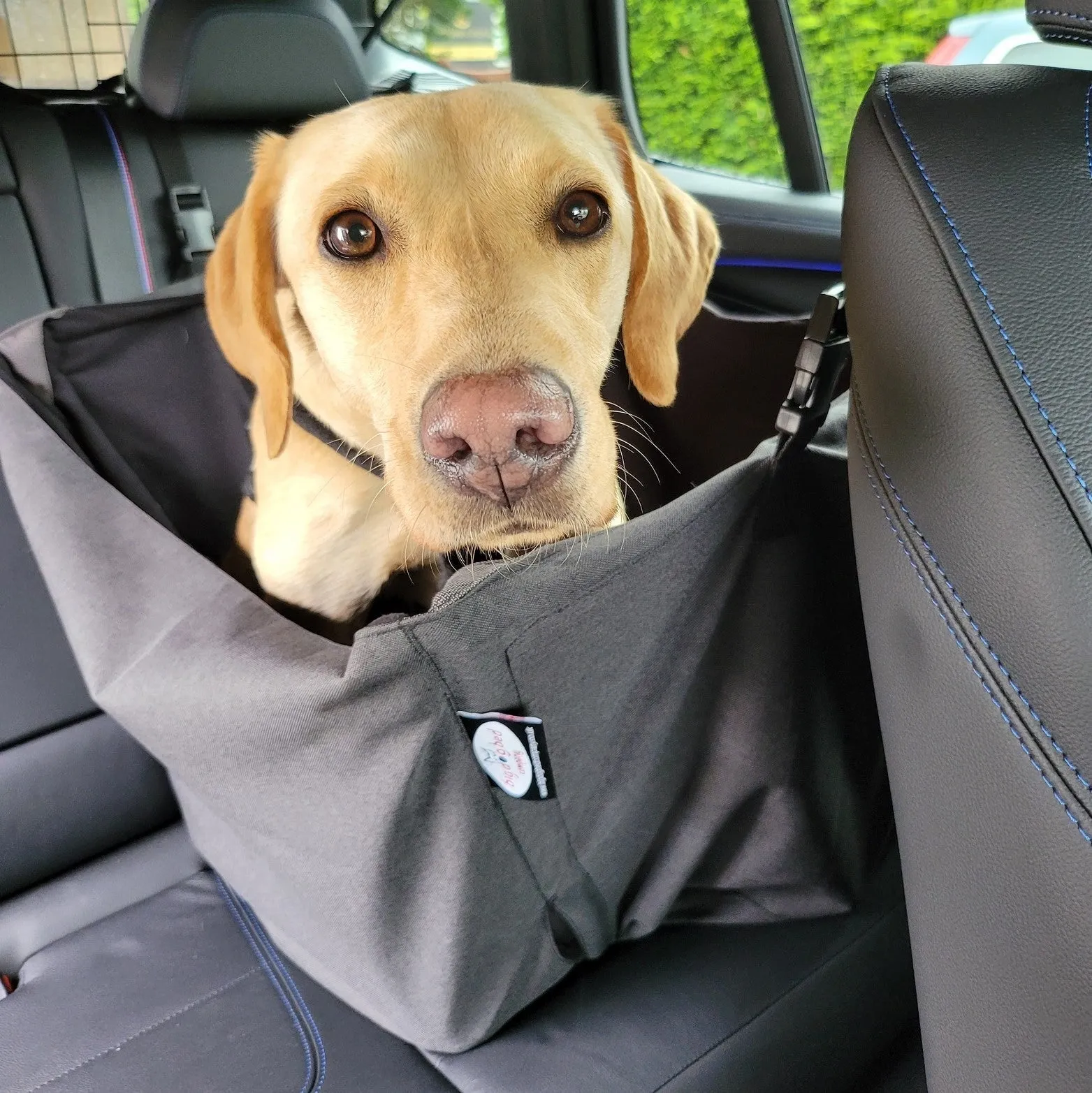 Car Cube dog seat