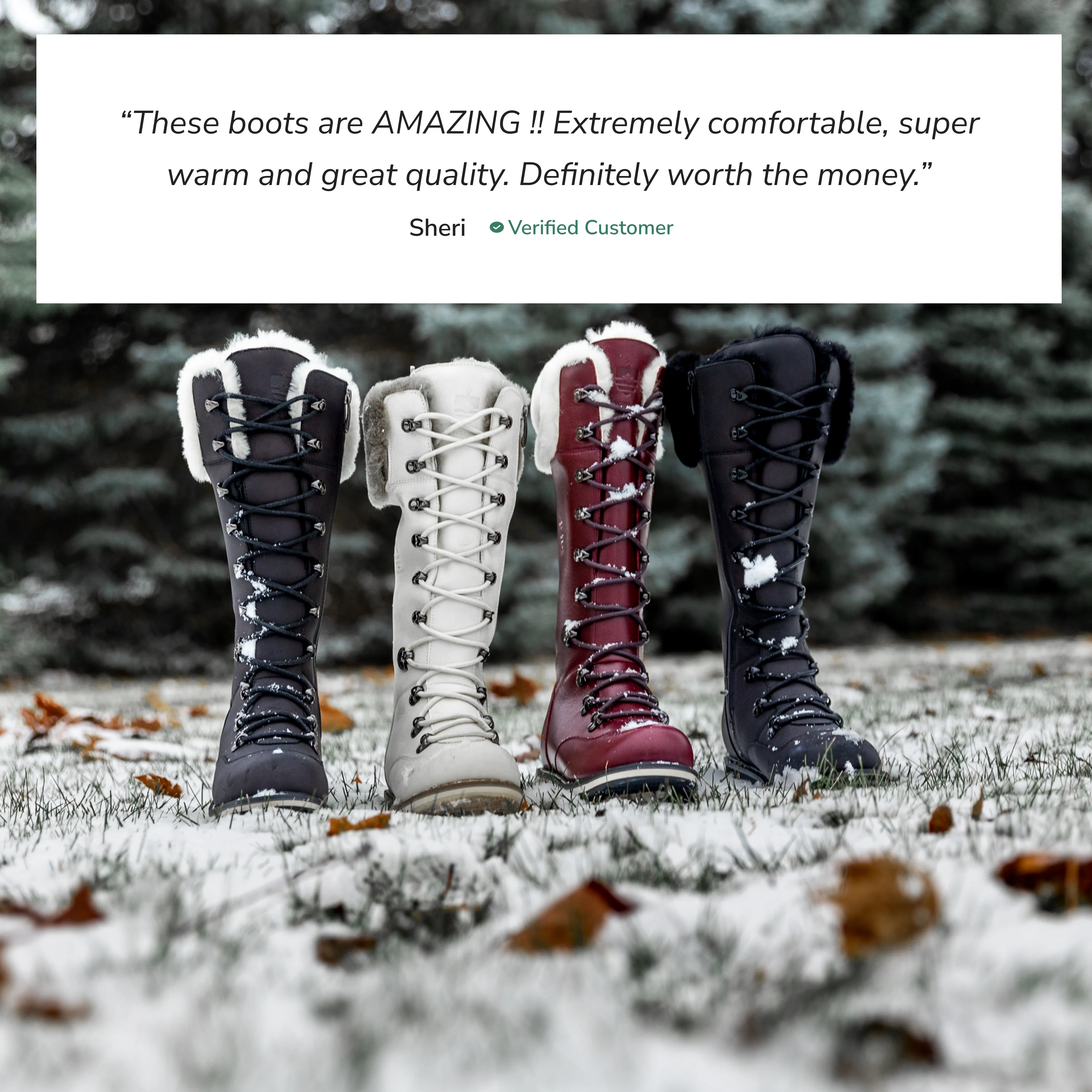 DALHOUSIE | Women's Winter Boot All Black