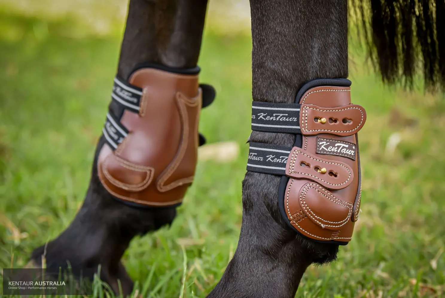 Kentaur 'Roma Flicker' Hind Boots